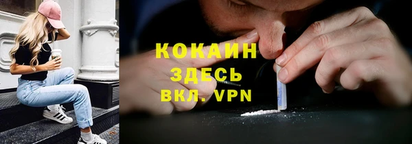 ПСИЛОЦИБИНОВЫЕ ГРИБЫ Абаза