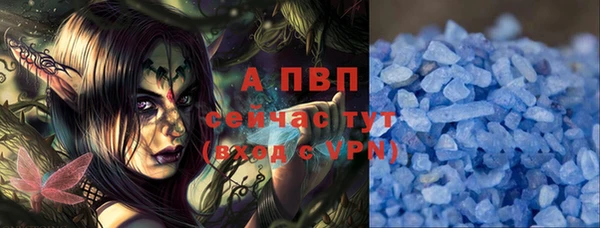 ПСИЛОЦИБИНОВЫЕ ГРИБЫ Абаза